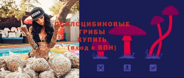 spice Чердынь