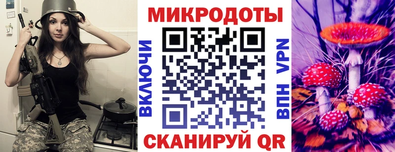 Купить где  Ефремов  Псилоцибиновые грибы GOLDEN TEACHER 
